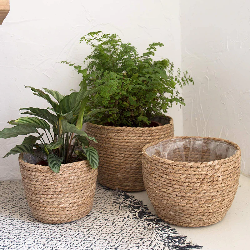 Woven Plant Basket