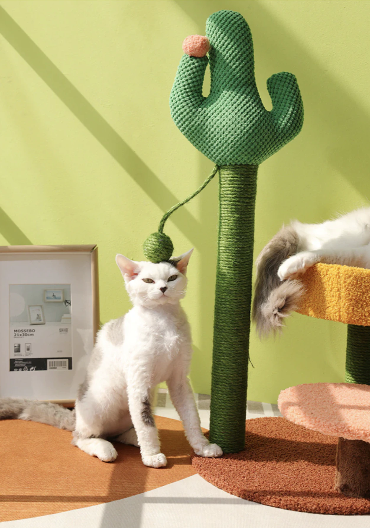 cactus-scratching-post-Yjr4tK0TWX4NxW6SzZUB.png