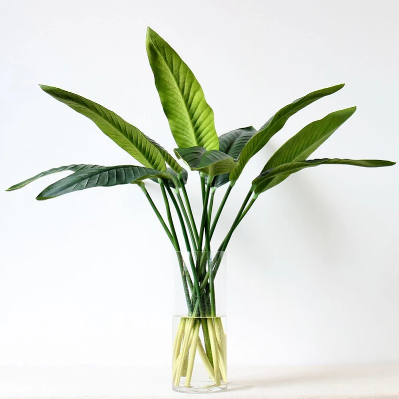 Artificial Bird Of Paradise Leaves