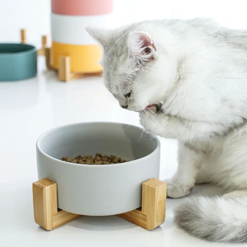 Pet Food Bowl