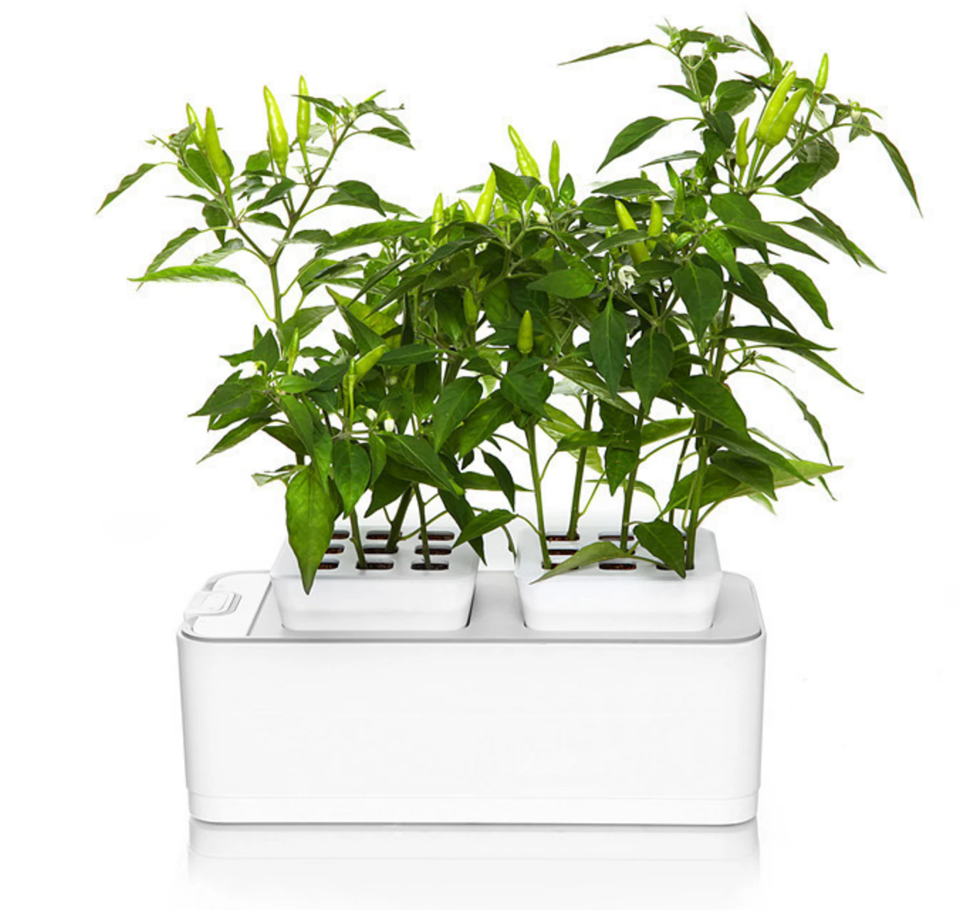 Smart Herb Pot
