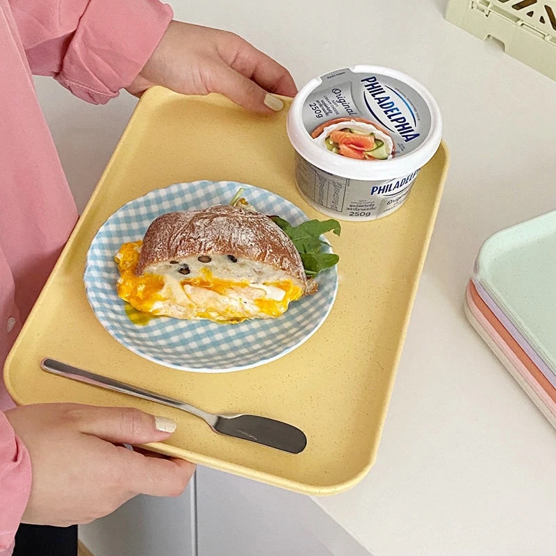 Pastel Wheat Straw Tray