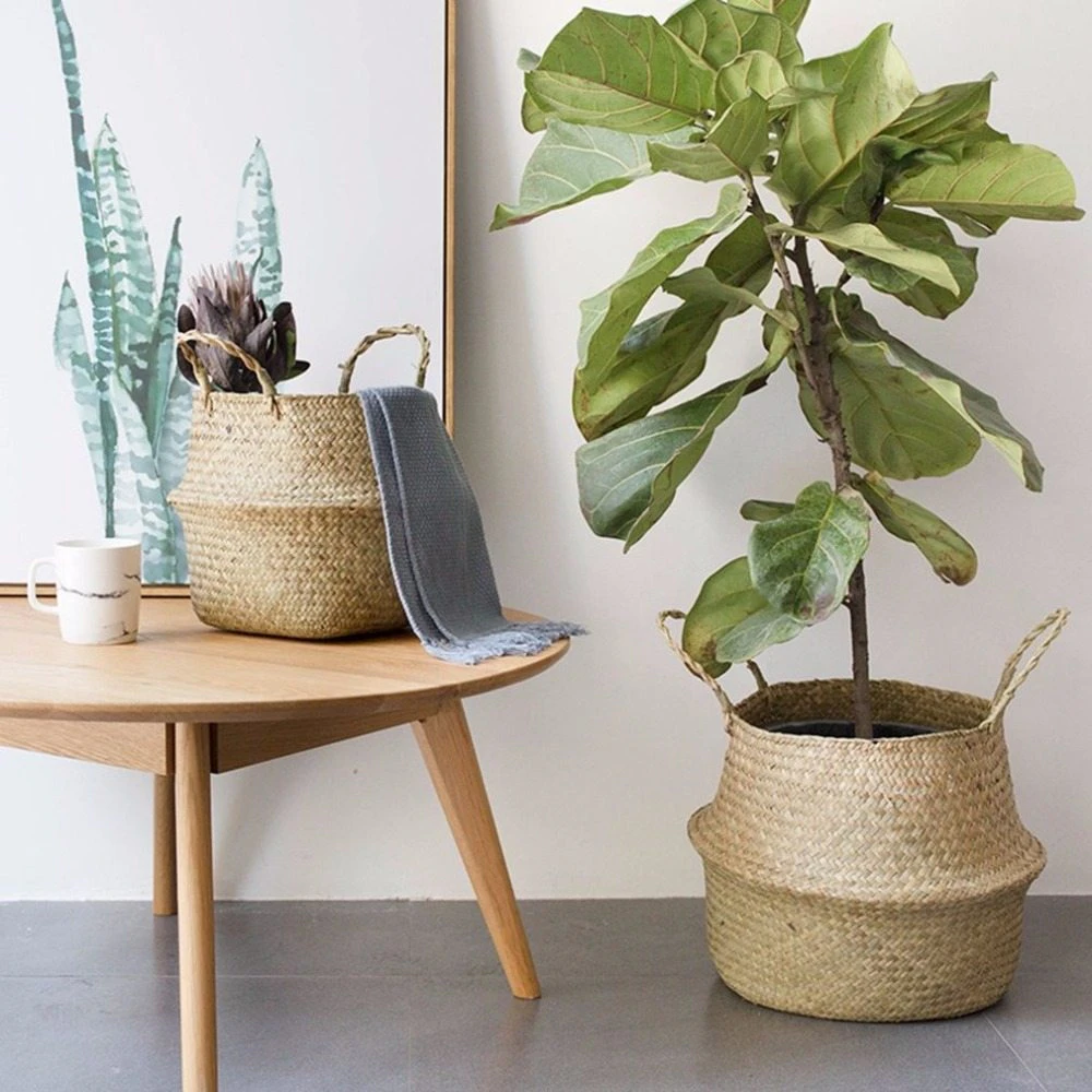Woven Seagrass Planter Basket