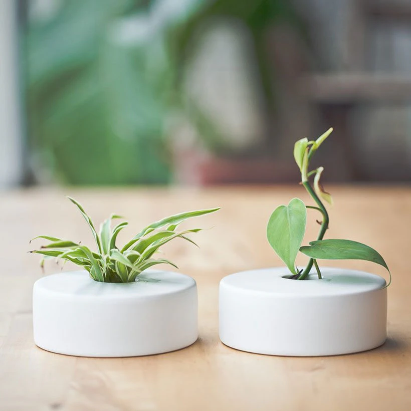 Ceramic Desk Vase Set