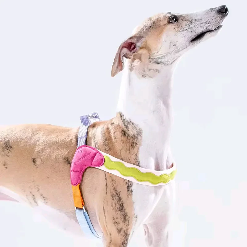 Multicolored Dog Harness