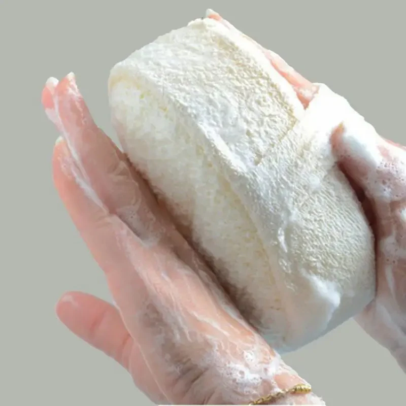 Loofah Sponge