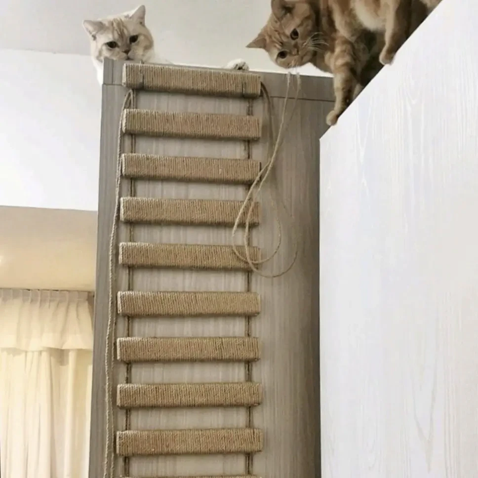 Cat Bridge