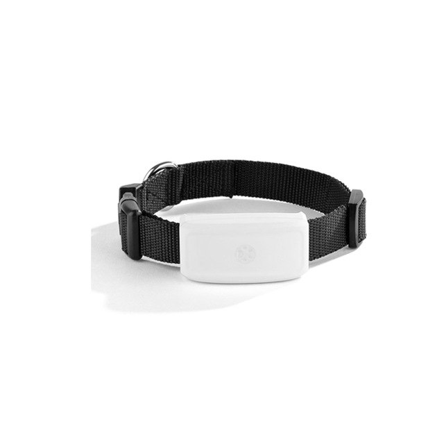 Pet GPS Tracker Collar