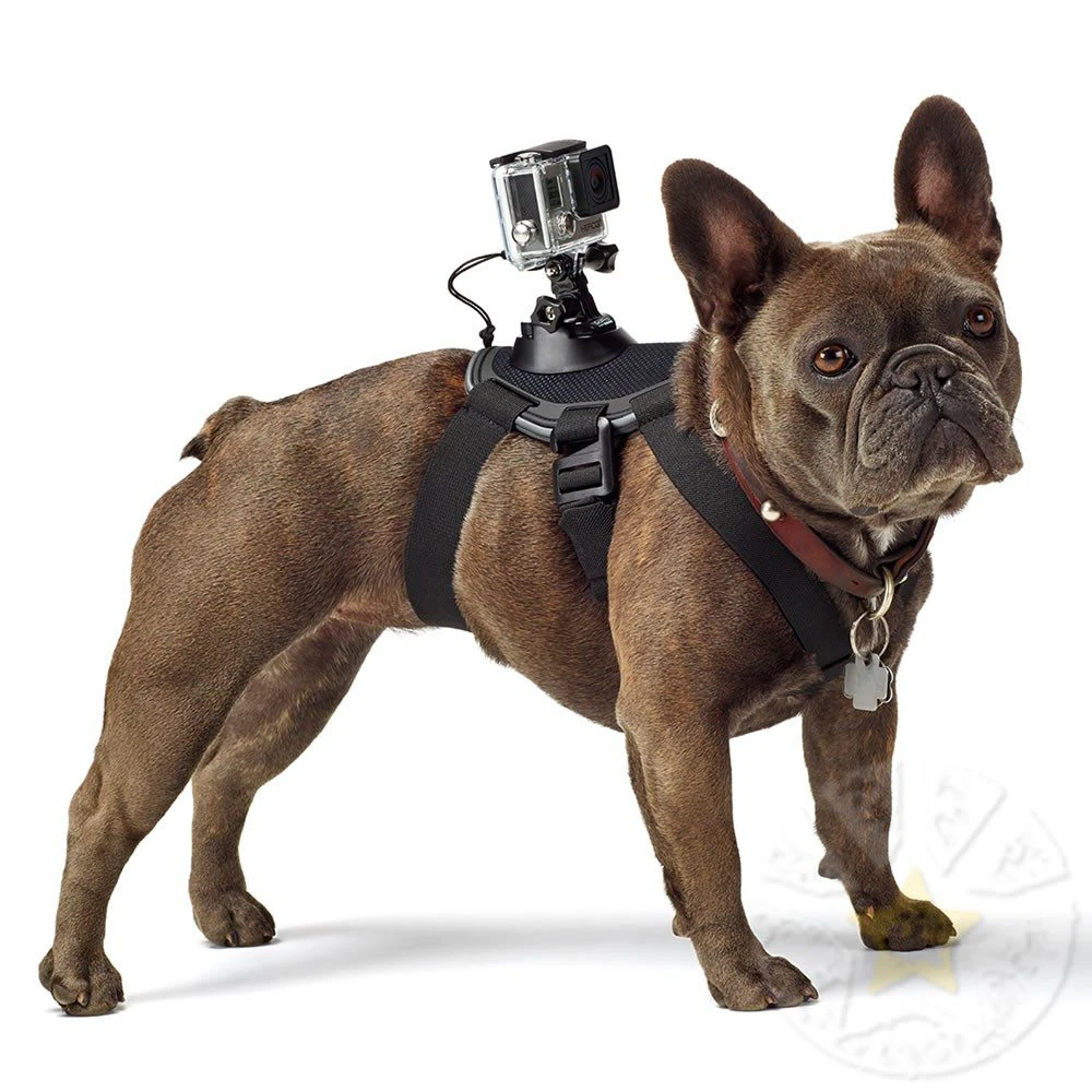 Gopro Pet Mount