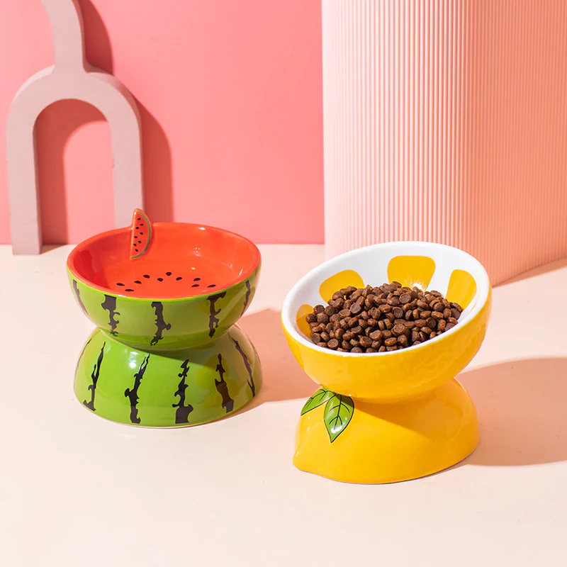 Raised Fruity Pet Bowl