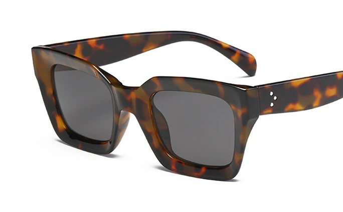 Retro Tortoise Frame Sunglasses
