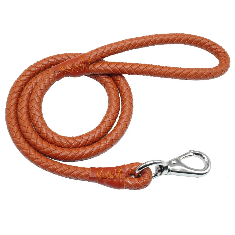 Leather Plait Dog Leash