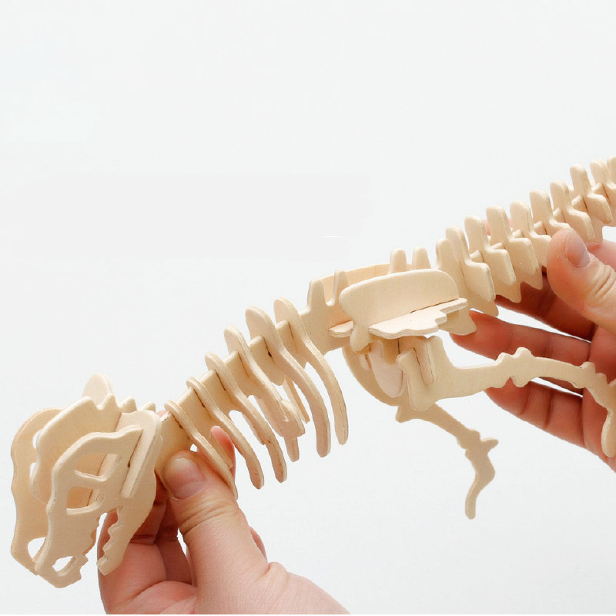 wooden-dinosaur-diy-puzzle-icfs9qLgNZJcDd48RCj1.png