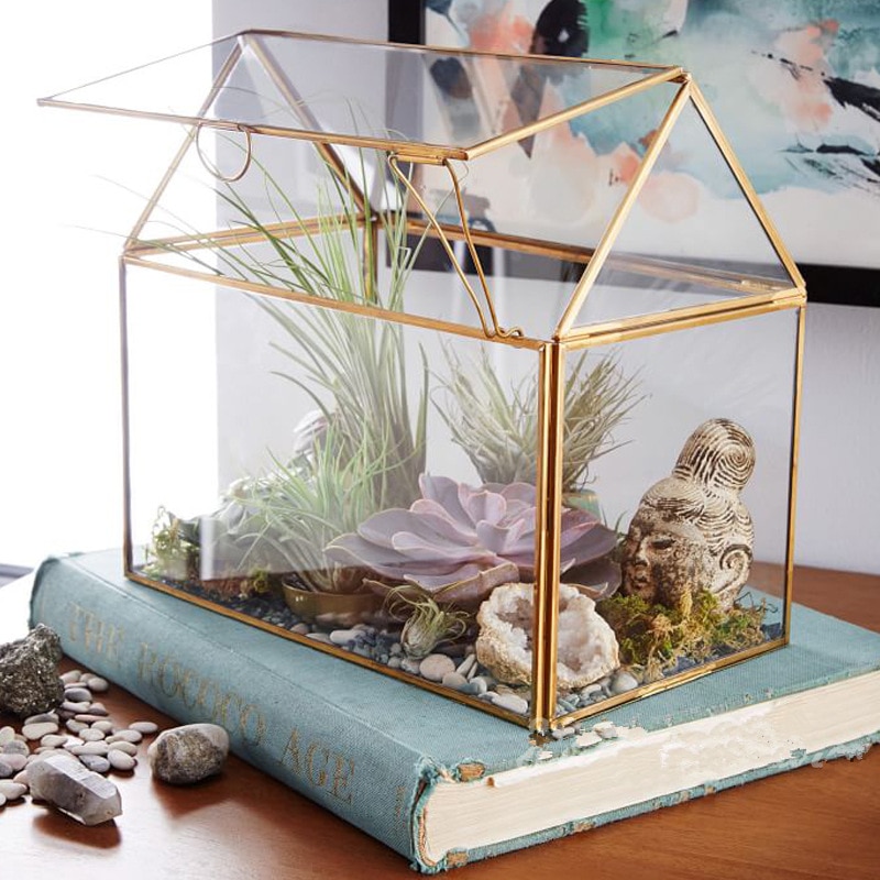 Gold Terrarium