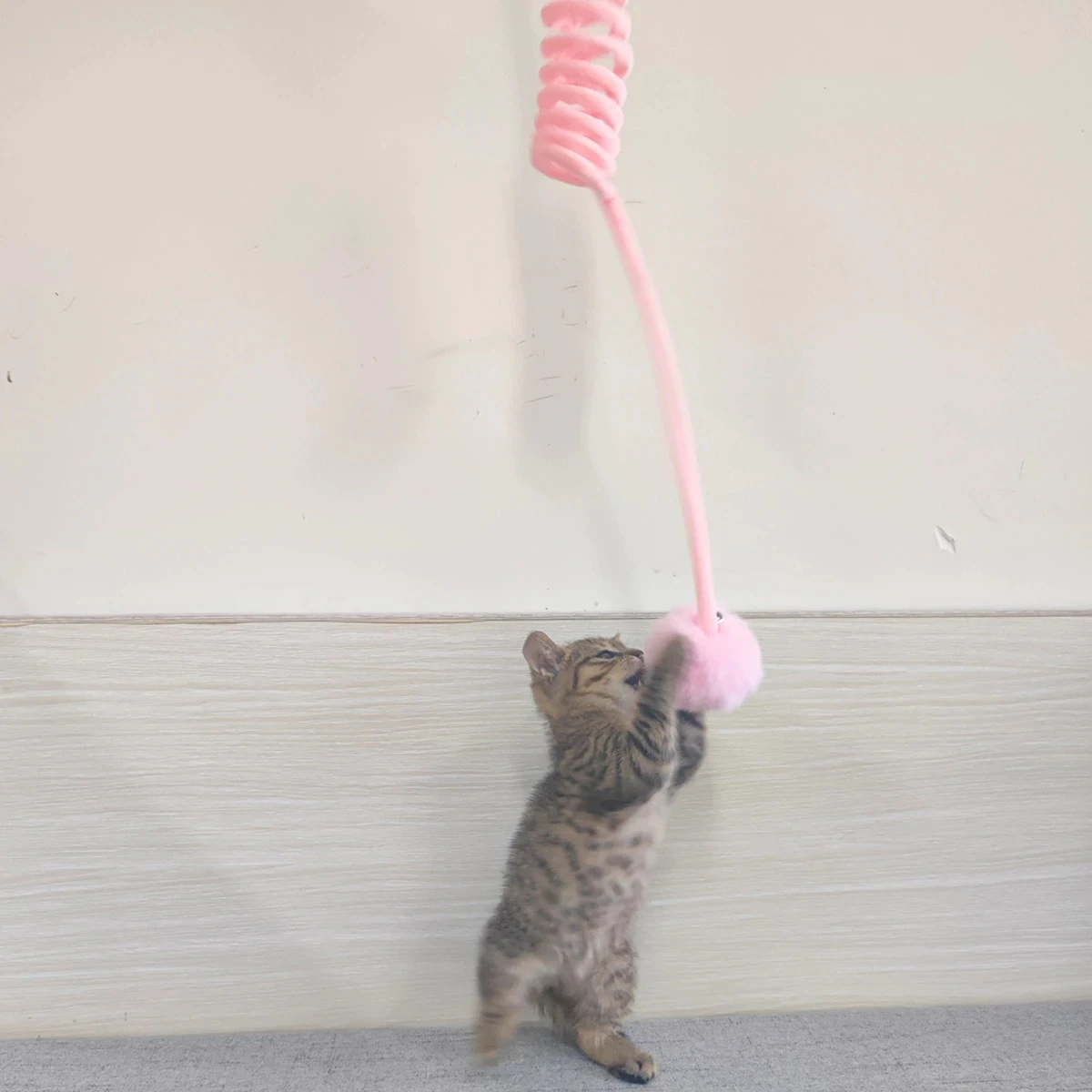 Fluffy Spring Cat Toy