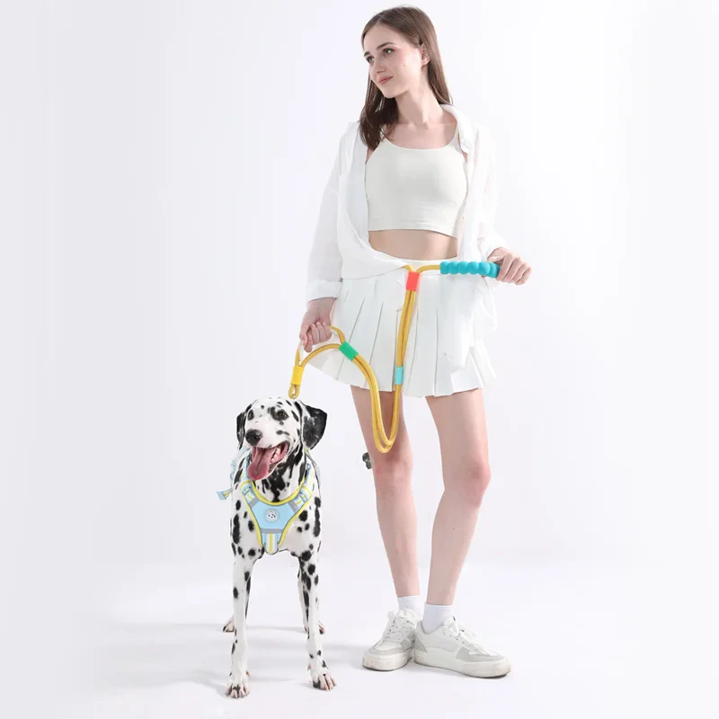 Foam Handle Dog Leash