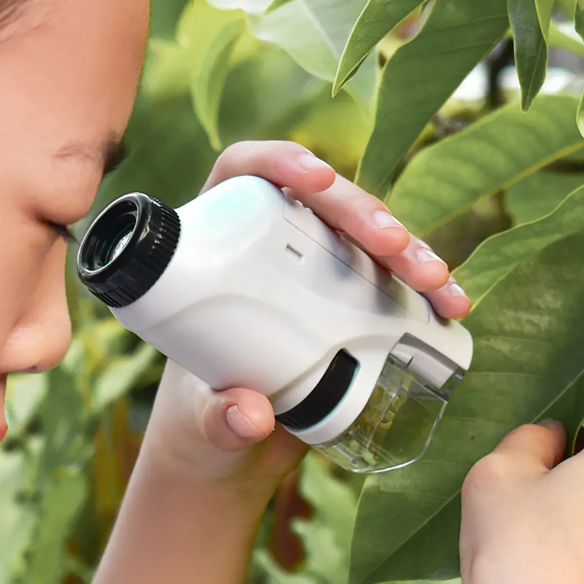 Pocket Microscope