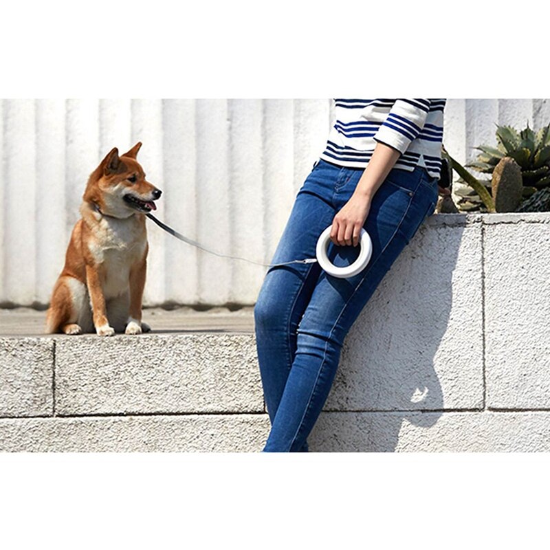 Donut Minimal Dog Leash