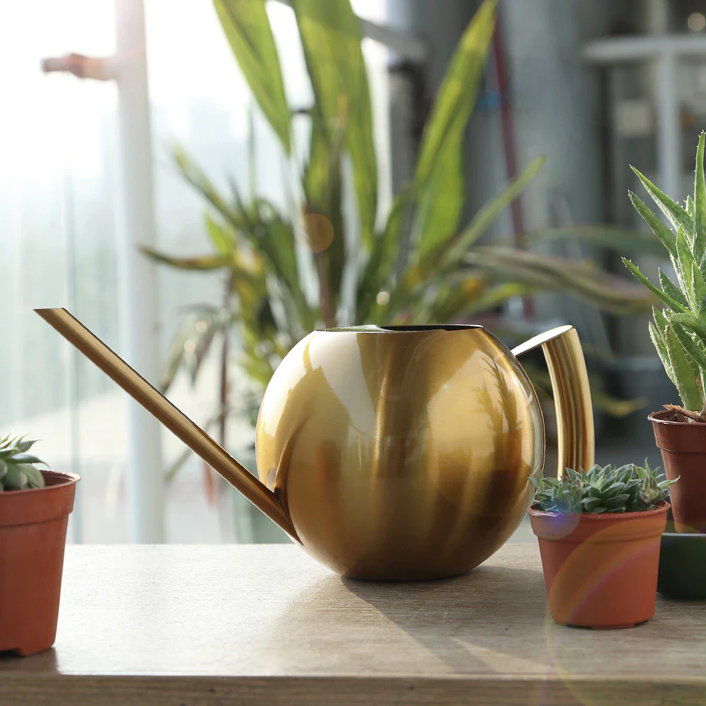 Stainless Steel Watering Can