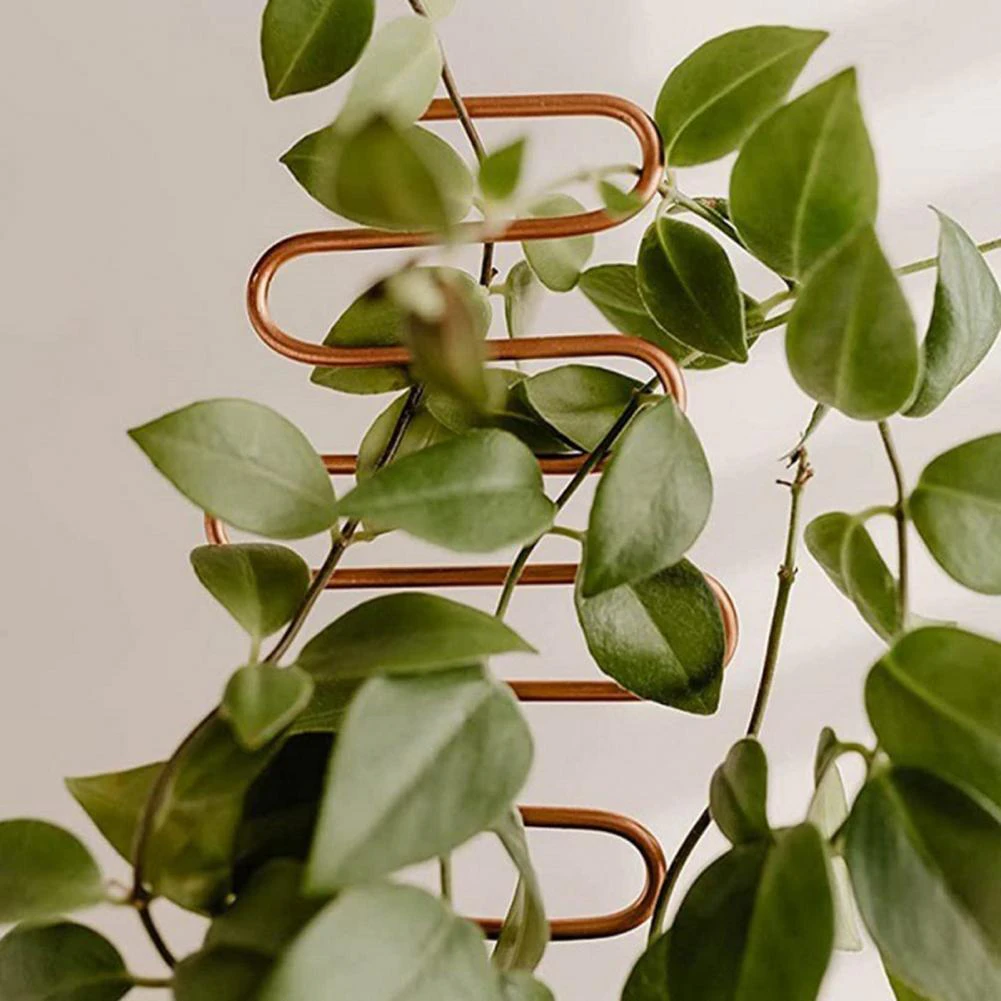 Metal Plant Climbing Stake