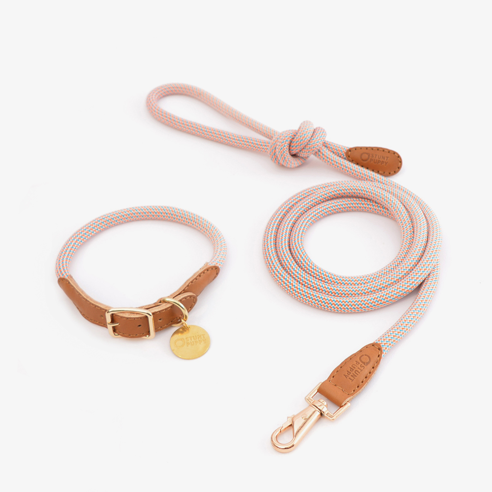 Dog Collar & Rope Leash