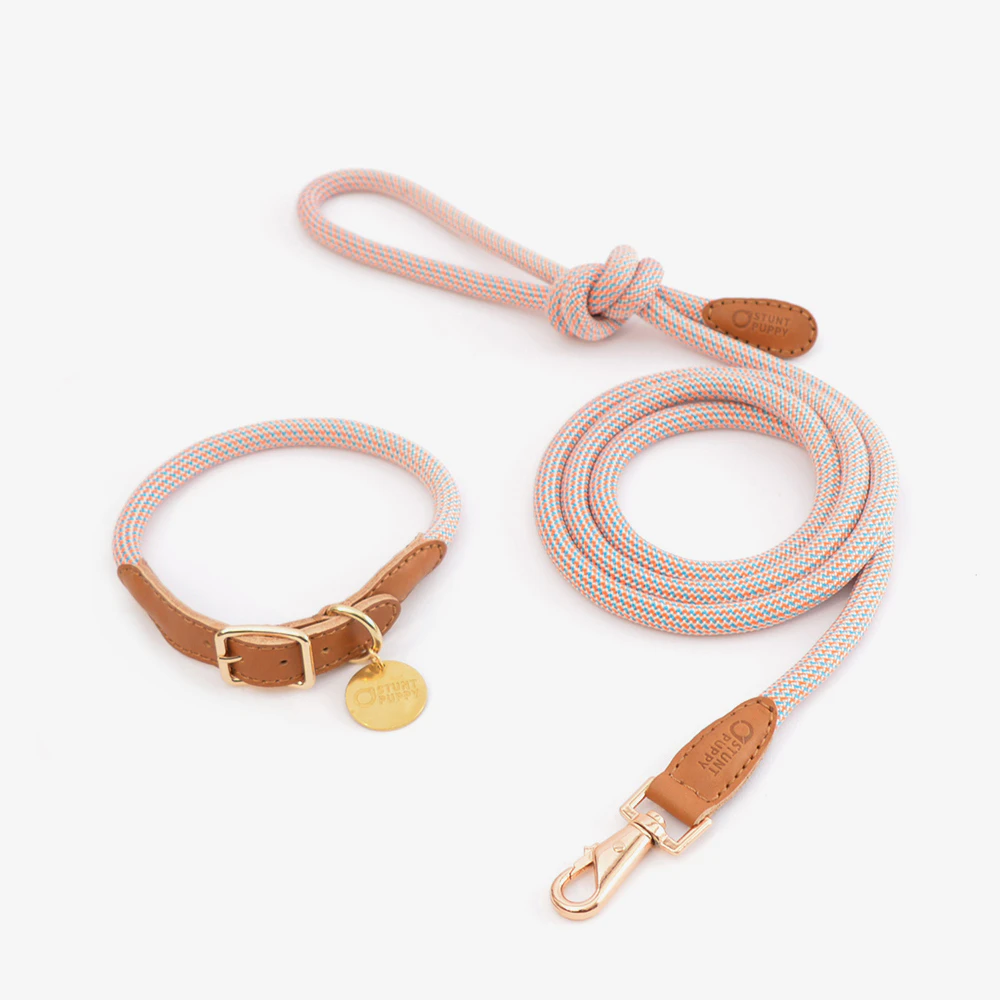 Dog Collar & Rope Leash