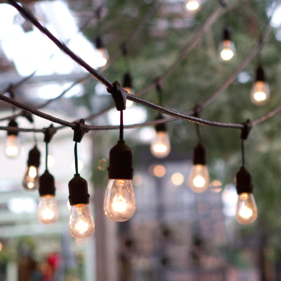 Outdoors Festoon String Lights