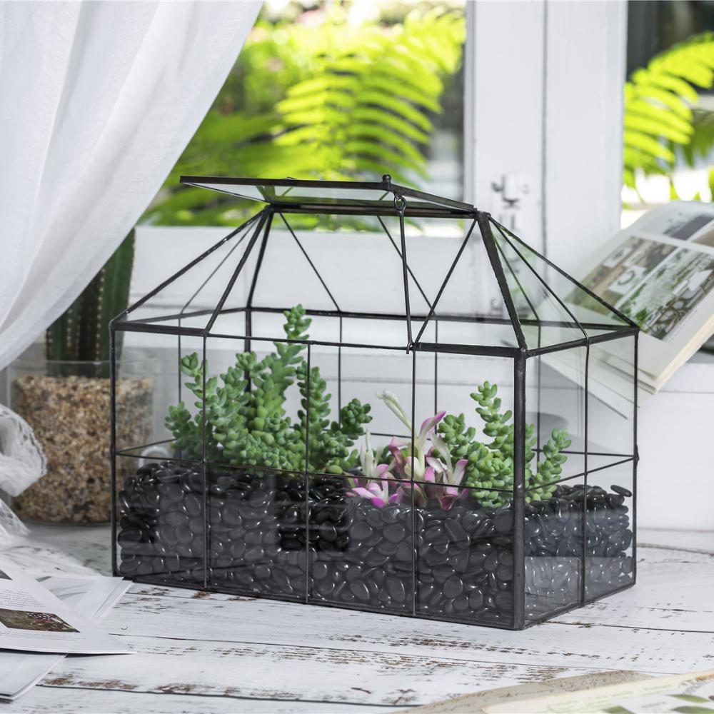 Glass House Terrarium