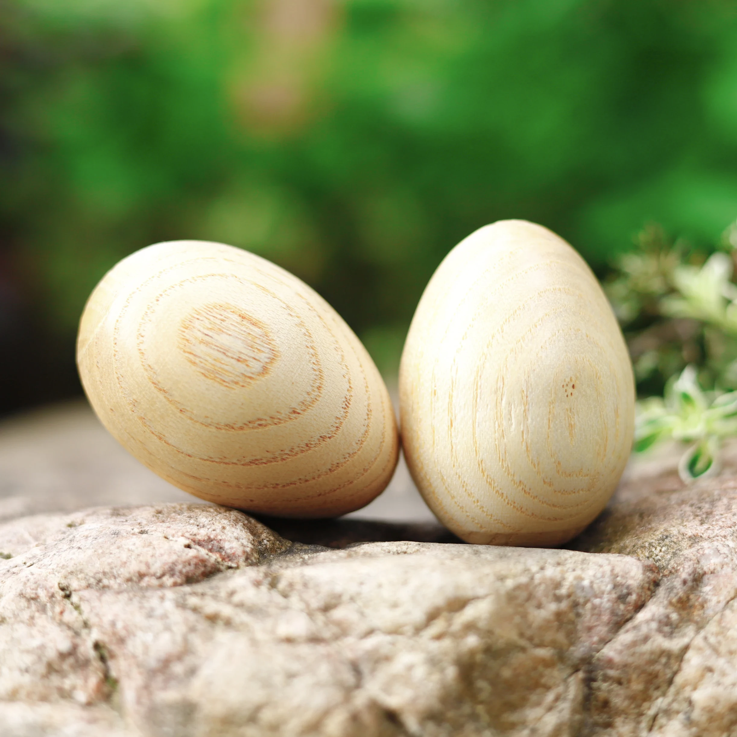 Egg Shaker