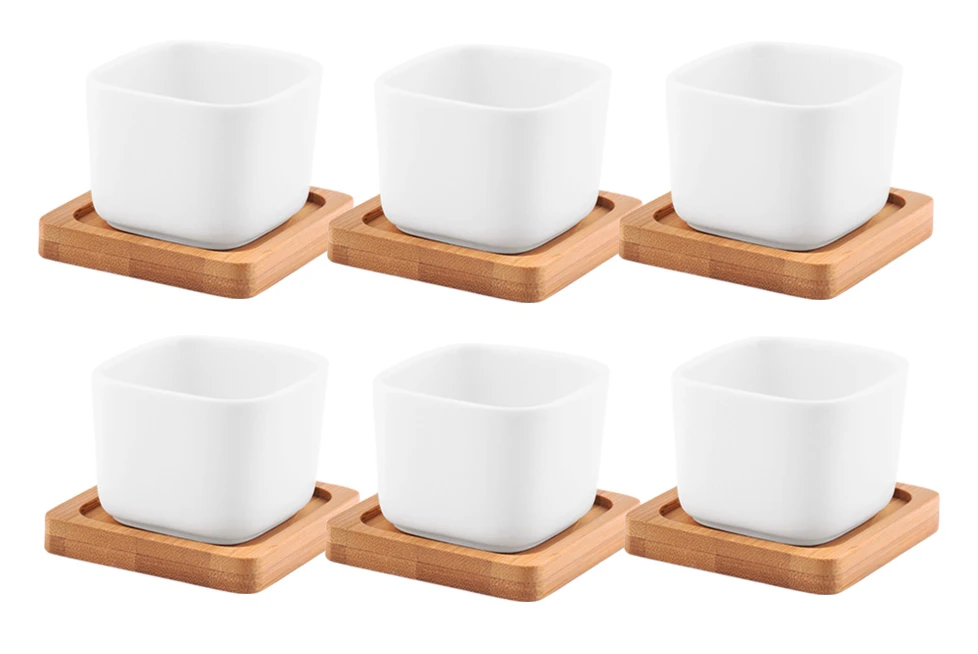 Mini Ceramic Planter Set