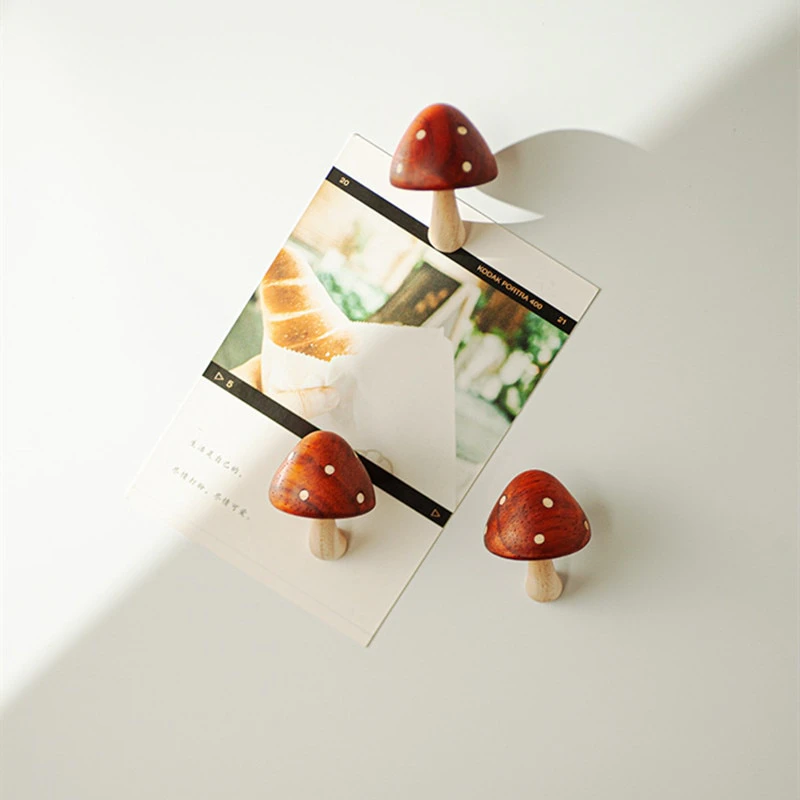 Mushroom Magnet