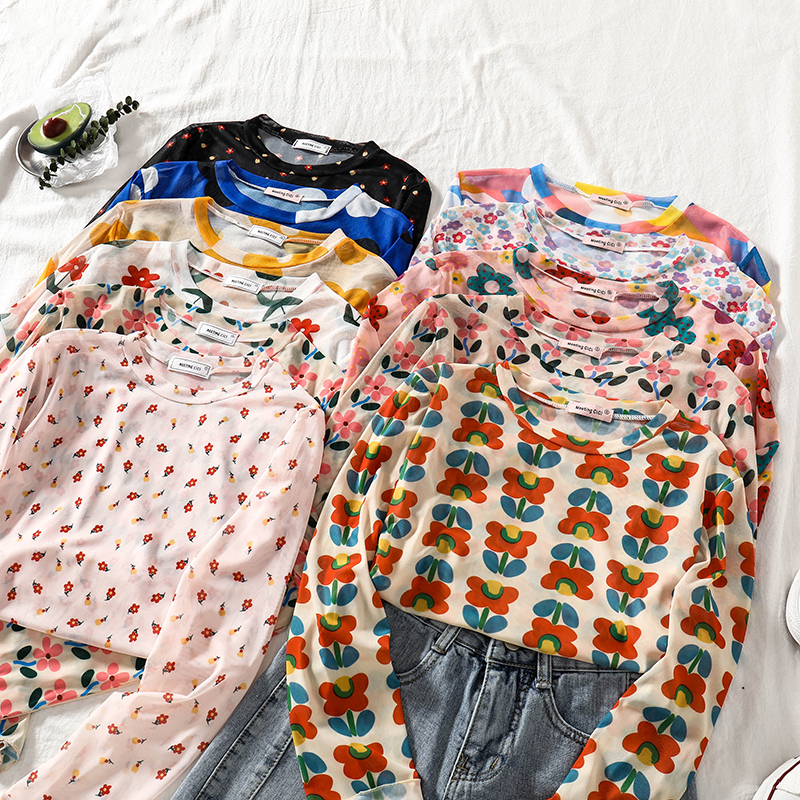 Mesh Floral Print Long Sleeve Top