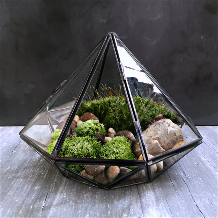 Inverse Diamond Shaped Terarrium