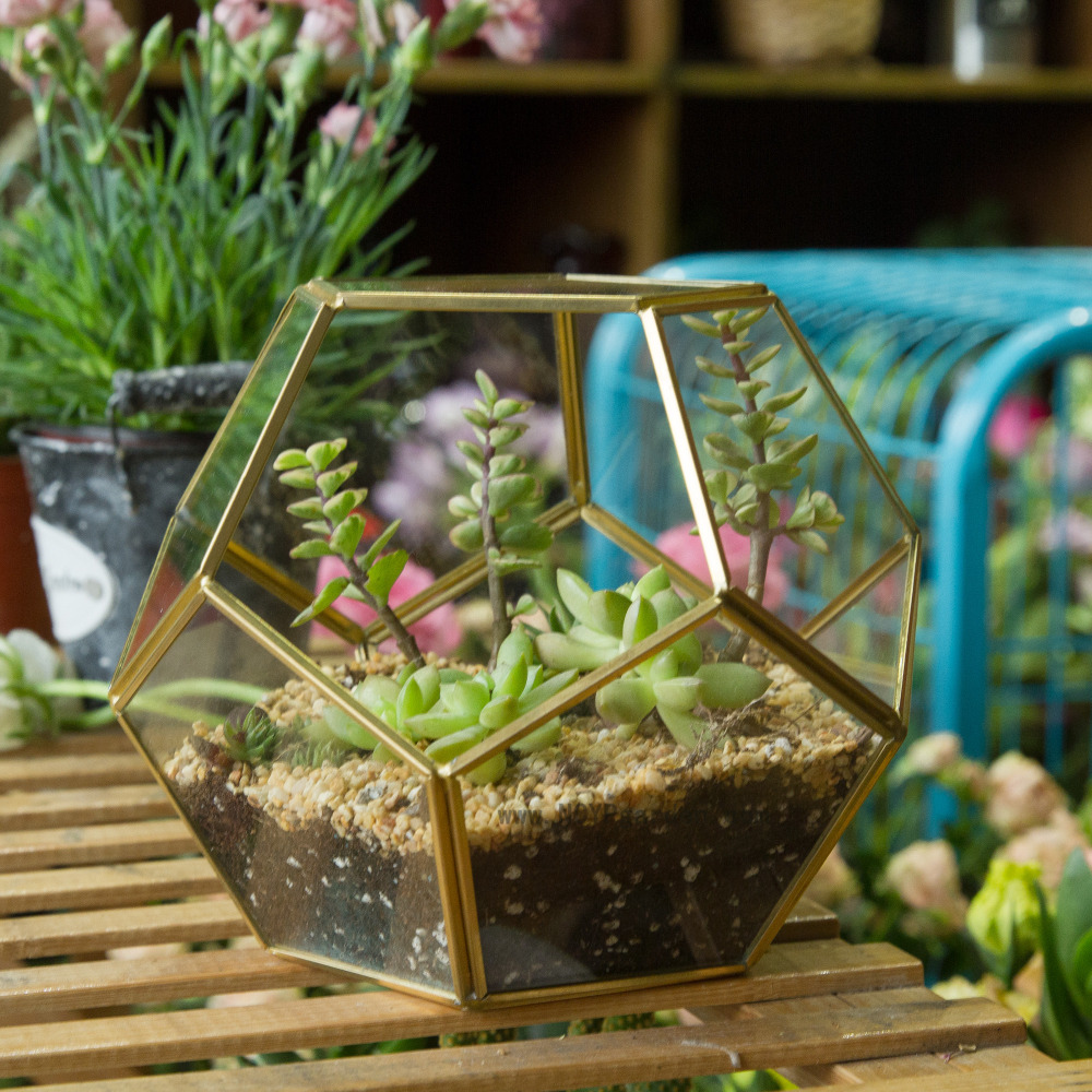 Geometric Garden
