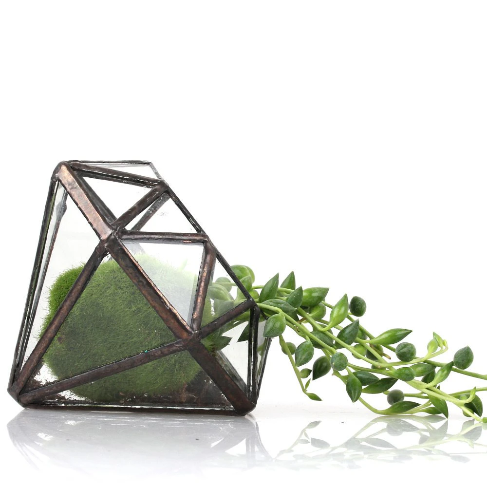 Diamond Shaped Small Glass Terrarium