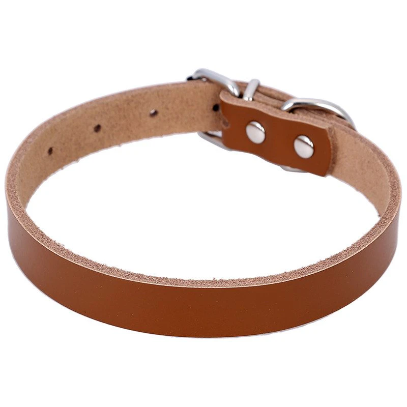 Genuine Leather Dog Collar