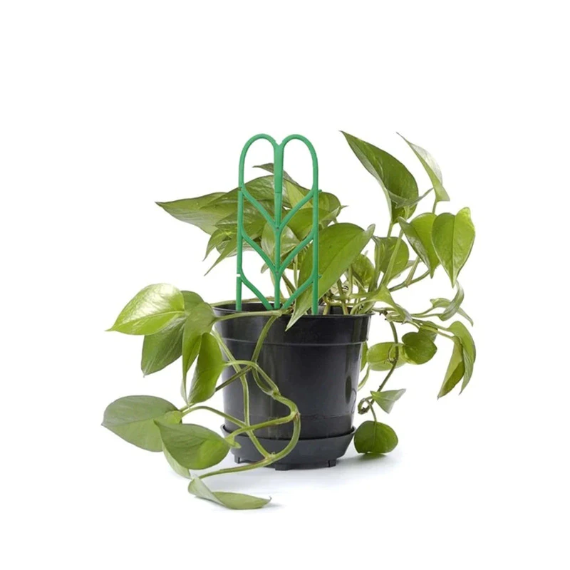 Vine Climbing Bracket