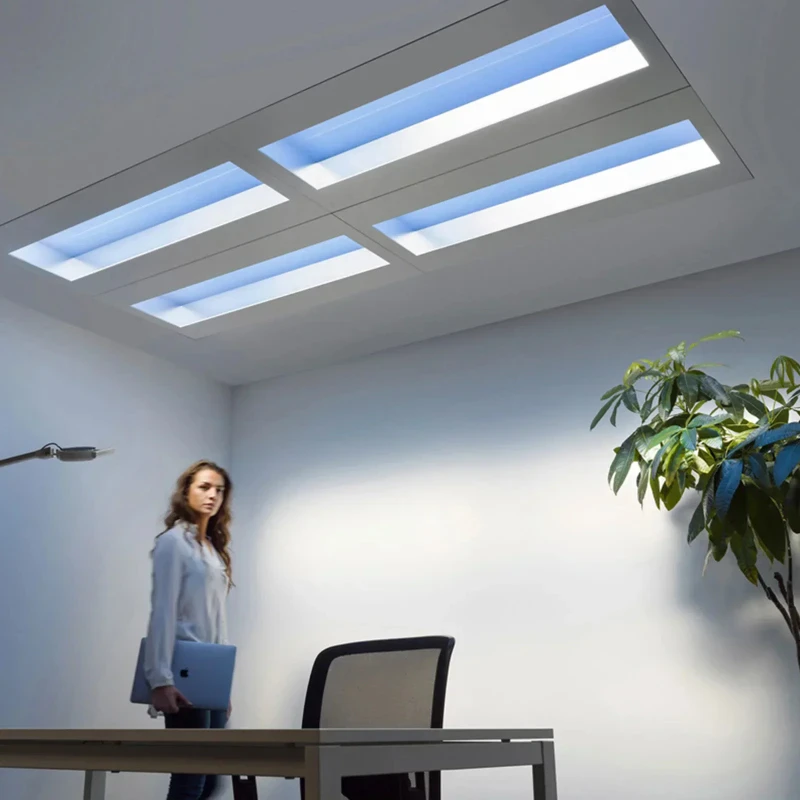Digital Sky Light