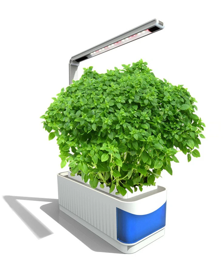 Hydroponic Desktop Grow Pot