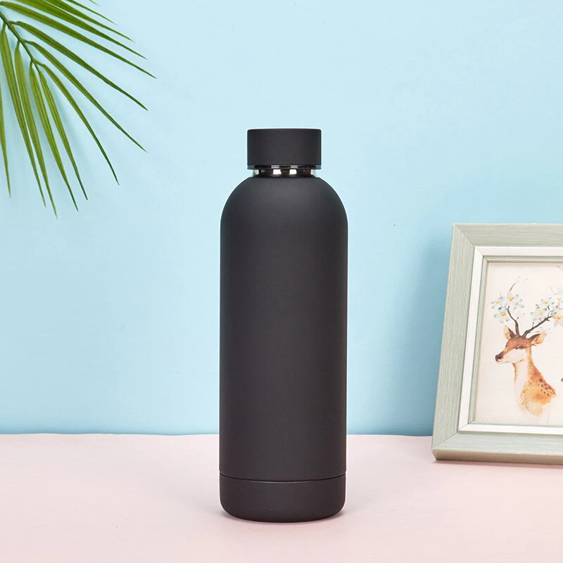 Stainless Steel Water Bottle