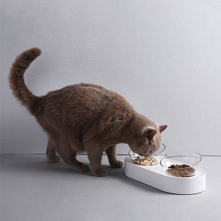 Adjustable Pet Feeding Bowls