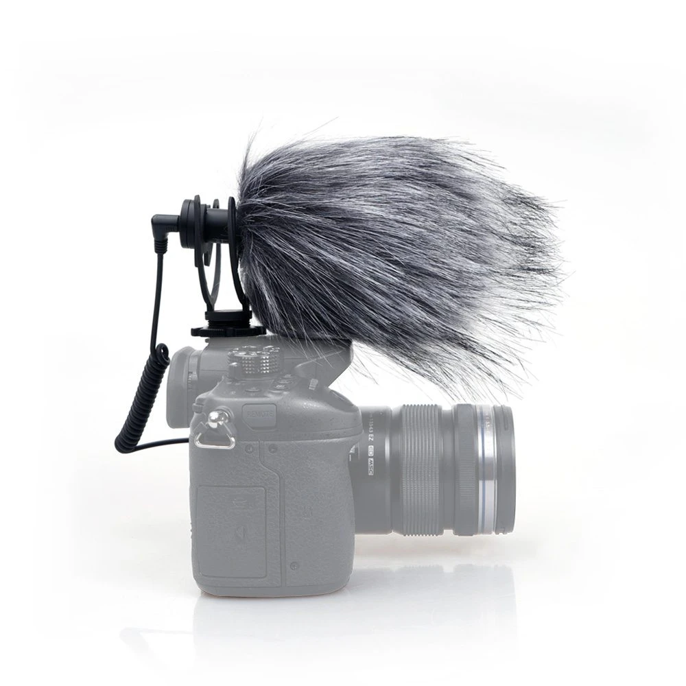 Compact Video Mic