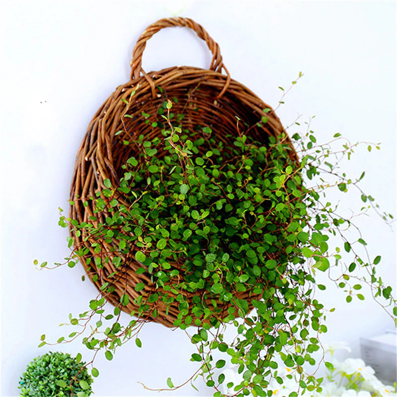 Wicker Hanging Plant Basket