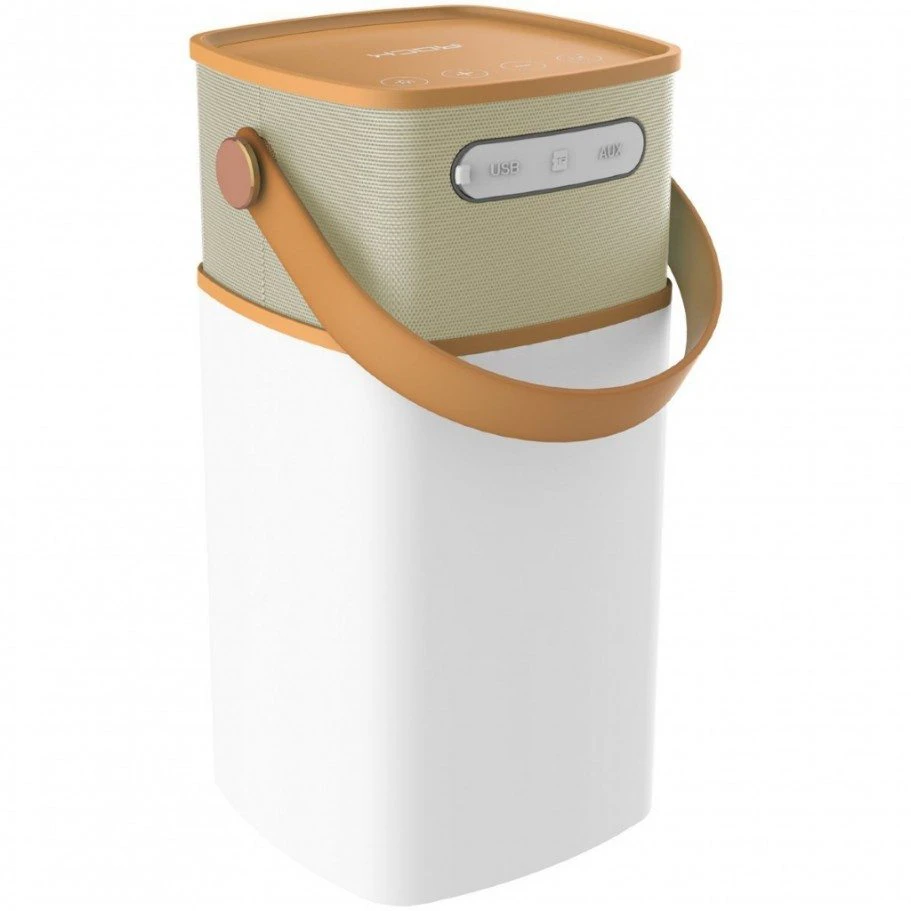 Bluetooth Outdoor Speaker/light