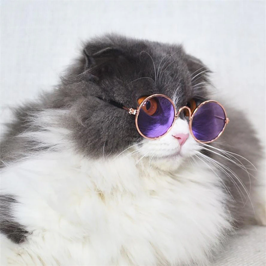 Cat Sunglasses