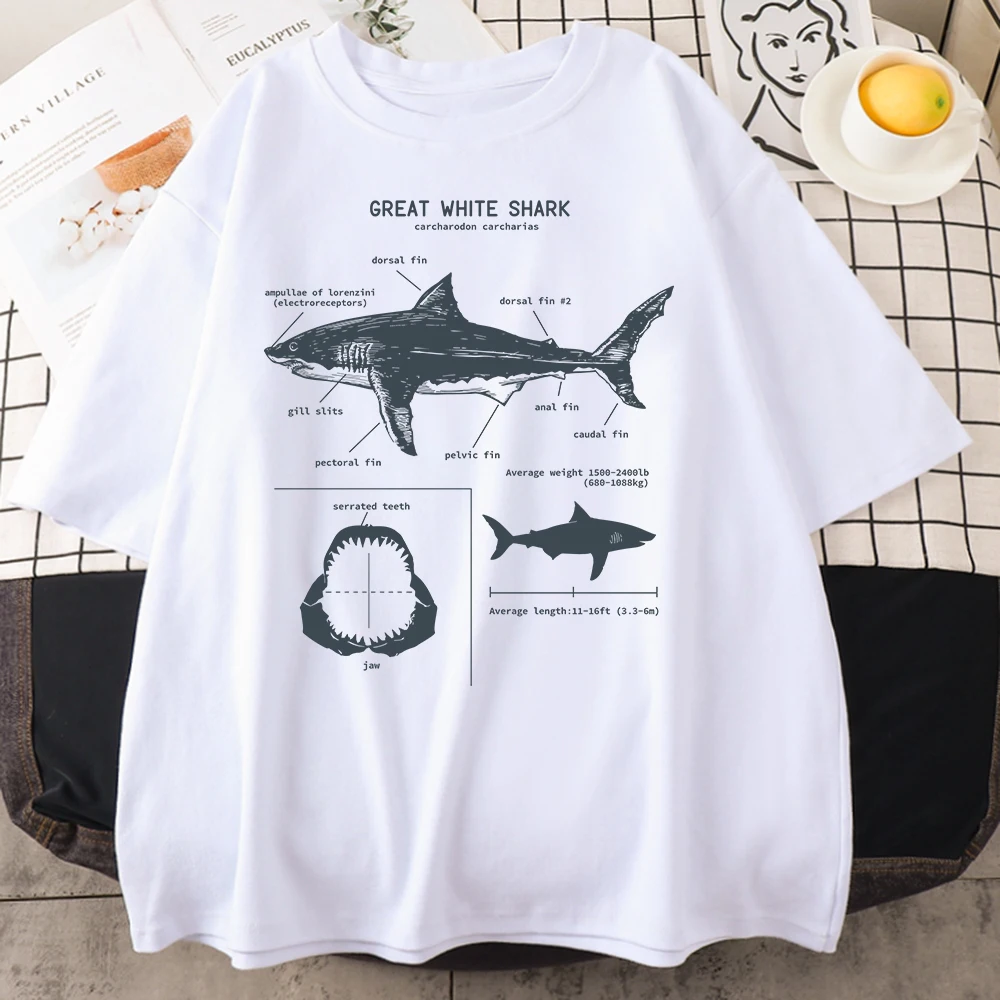 Shark Anatomy Tee