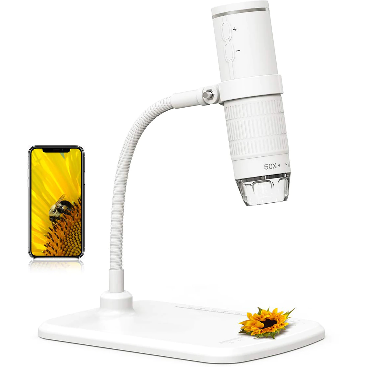Digital Microscope