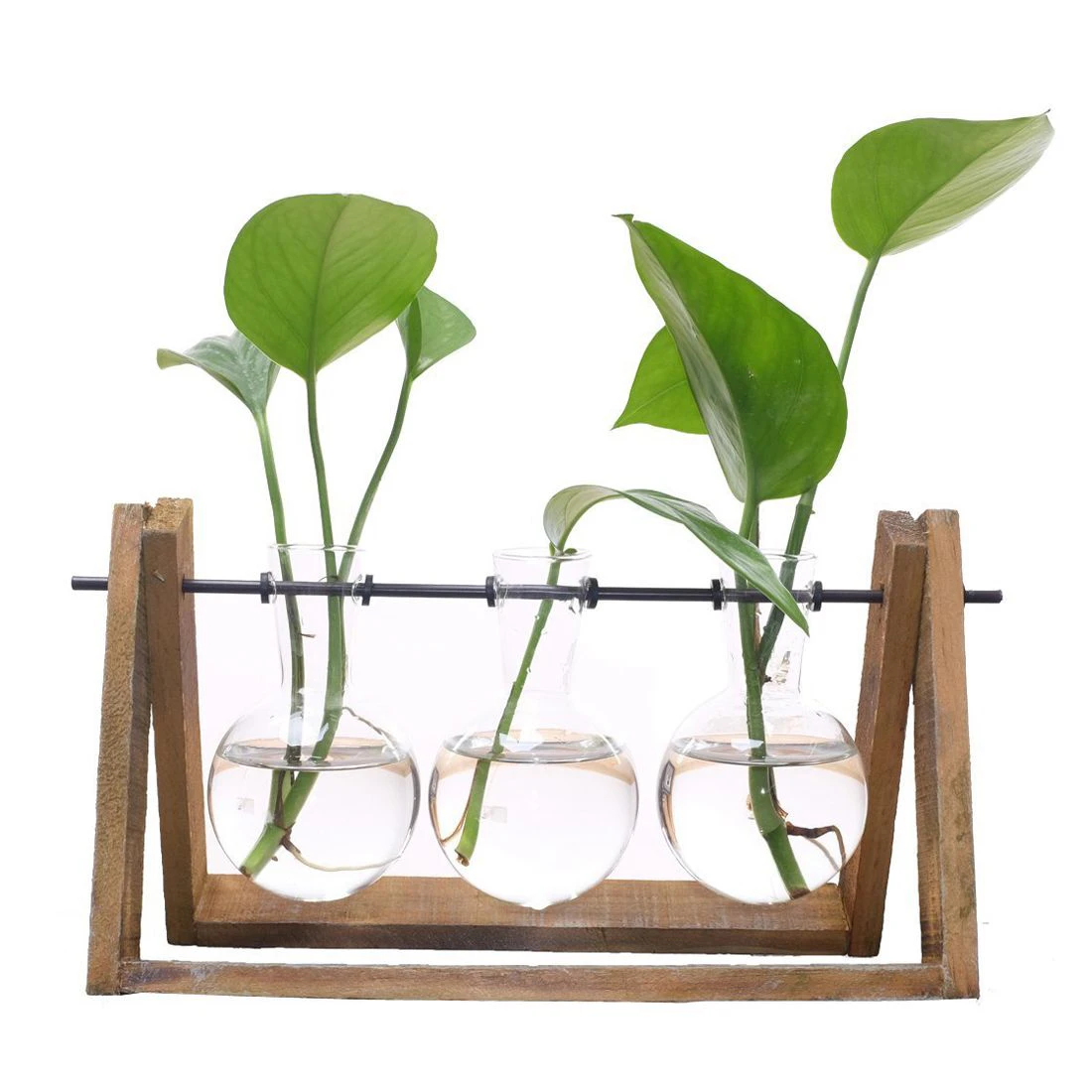 Wooden Swing Terrarium