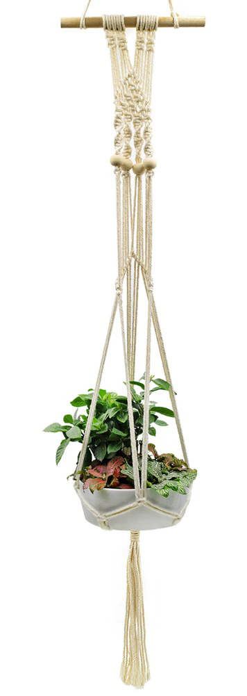 Macrame Plant Hanger