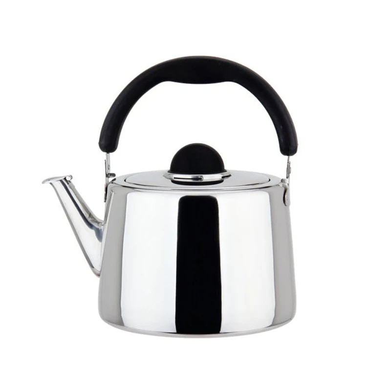 Stainless Stove Top Kettle